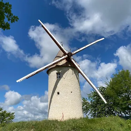 Maison En Dordogne 펜션 Singleyrac